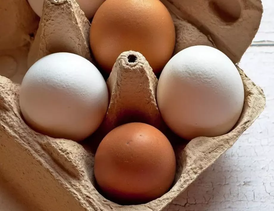 Съвети за успешно градинарство: Как кутиите за яйца могат да ви помогнат за огромна реколта!