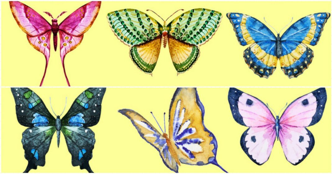 Пеперудата, която избереш разкрива скрити страни на личността ти