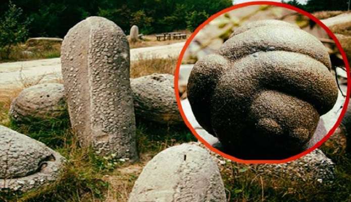 Тровантите – камъни, които растат, движат се, дишат, имат пулс и се възпроизвеждат (видео)