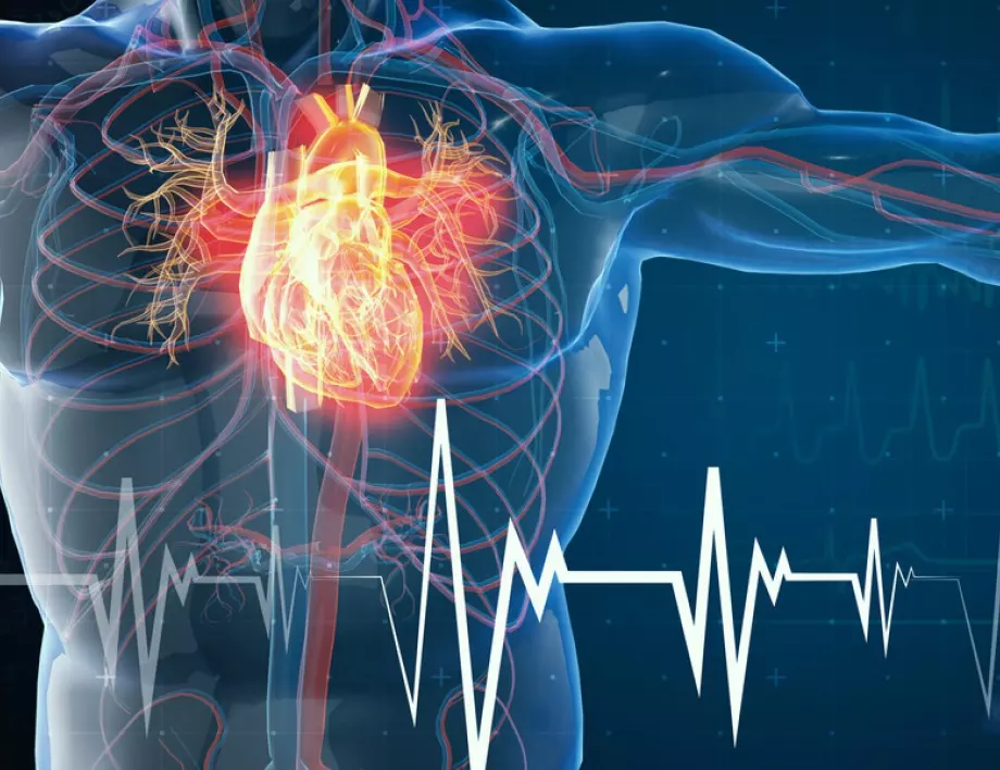 Как да разберете дали сърцето ви е здраво само за 30 секунди?