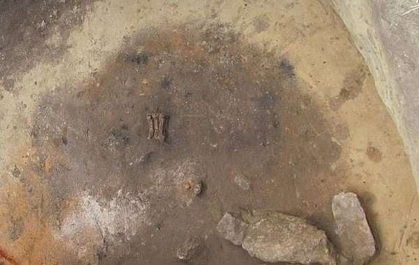 В Полша е открит древен необичаен гроб с човешки тела и лапа на мечка