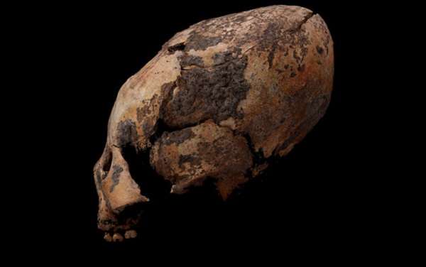 В Китай е открит най-старият в света изкуствено издължен череп