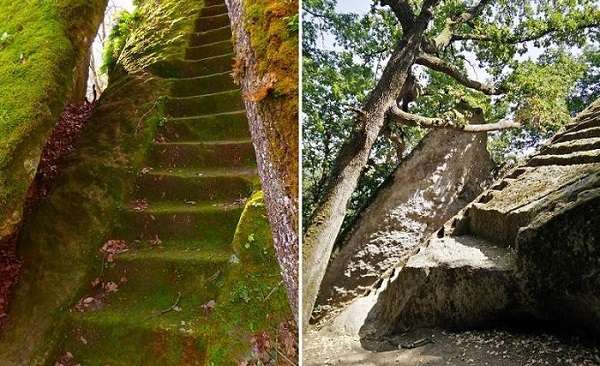 Тайнствени стълбища, изгубени в дивите гори, водещи наникъде