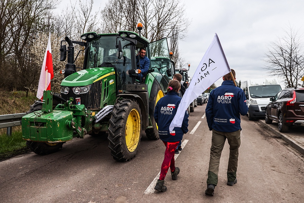 Власти Польши ради своих протестующих фермеров ввели запрет на украинское зерно, не дожидаясь решения ЕС. / Gettyimages