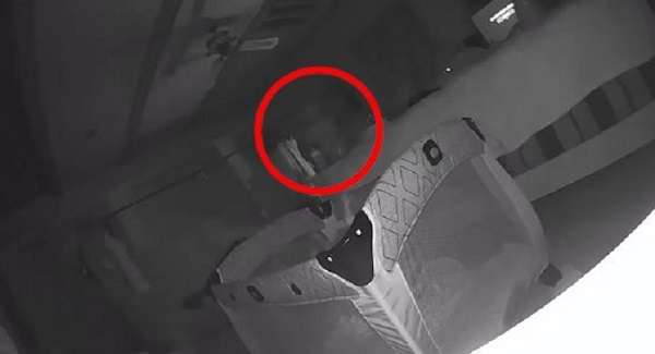 Видеокамера заснема агресивен призрак, който одрасква дете в къщата (видео)