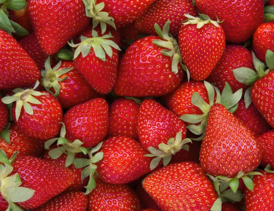 Една лъжичка от ТОВА и ще берете само едри ягоди с неповторим вкус!
