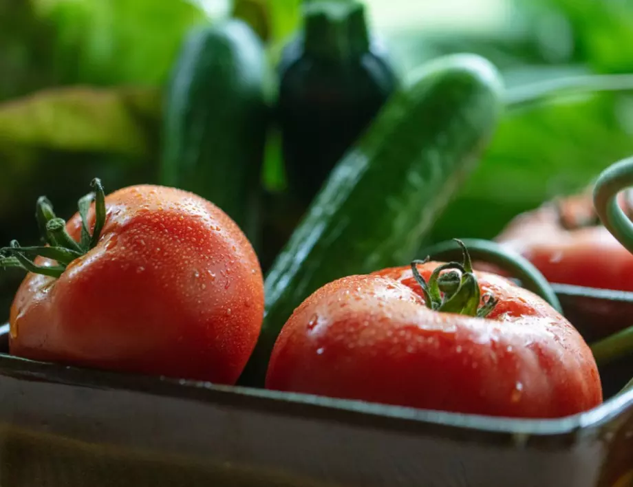 Никой не предполага, че това е най-добрата тор за вкусни и здрави домати и краставици