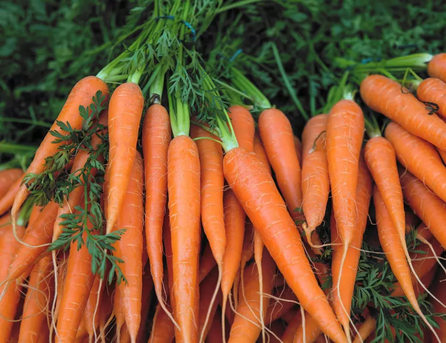Засадете ТОВА до морковите, за да се радвате на чудесна реколта